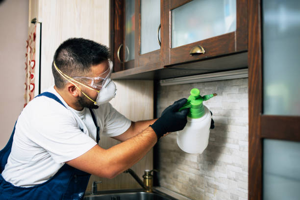 Best Pest Removal Services  in New Baltimore, VA