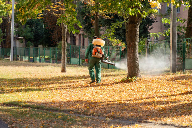 Best Wildlife Control Services  in New Baltimore, VA